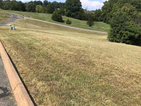 Lot 41 Shiloh Springs Road, Rutledge, TN 37861