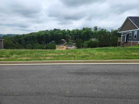 Lot 101 Shoreline Vista, Morristown, TN 37814