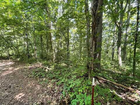 Lot 19-20 Michaels Way, Newport, TN 37821