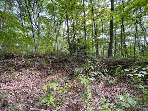 Lot 65 Green Bay Drive, Sevierville, TN 37876