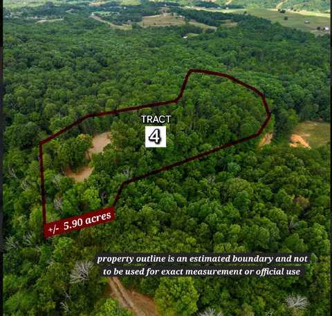 5.903 Topaz Way - Tract 4, Parrottsville, TN 37843