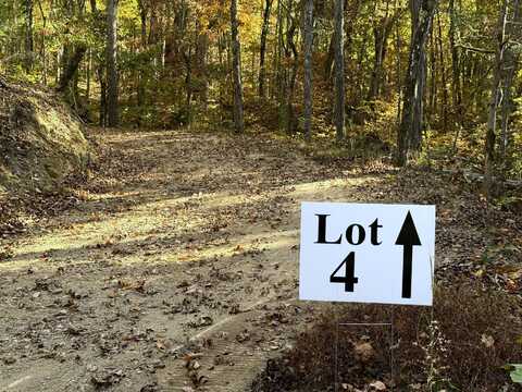 Tract 4 Topaz Way, Parrottsville, TN 37843