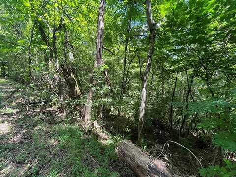 Lot 17-18 Michaels Way, Newport, TN 37821