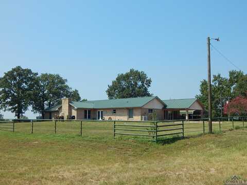 441 PR 8571, Winnsboro, TX 75494