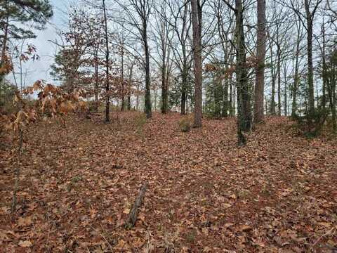 Tbd WHITE FIR, Gladewater, TX 75647