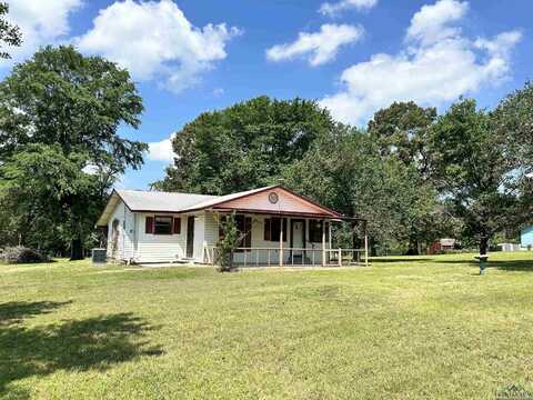 540 Eagleton, Diana, TX 75640