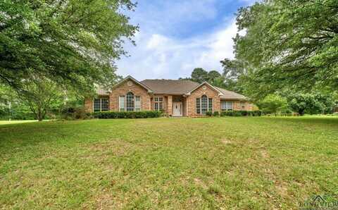 260 Timberlake Ranch Road, Hallsville, TX 75650