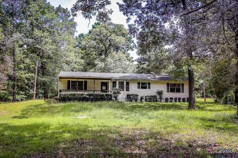 2753 RICHIE ST, Diana, TX 75640