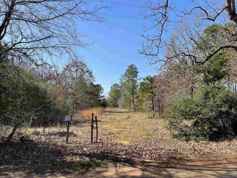 Tbd Zinnia Road, Diana, TX 75640