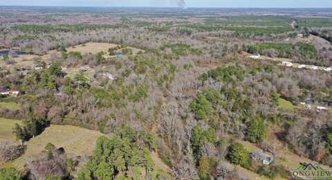 Tbd Pinecrest, Avinger, TX 75630