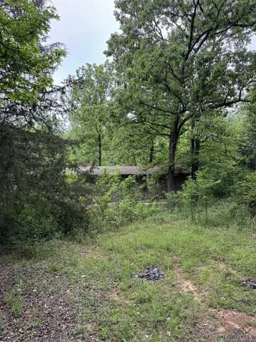 7134 Cactuswood, Gilmer, TX 75645