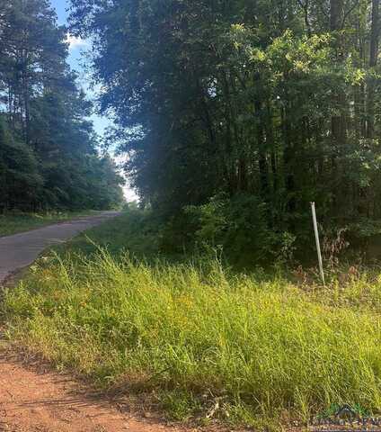 Lot 174 Oakwood, Gilmer, TX 75645