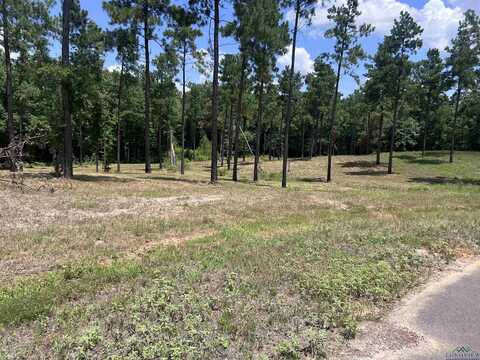 Lot 8 Eagle Creek Dr., Diana, TX 75640