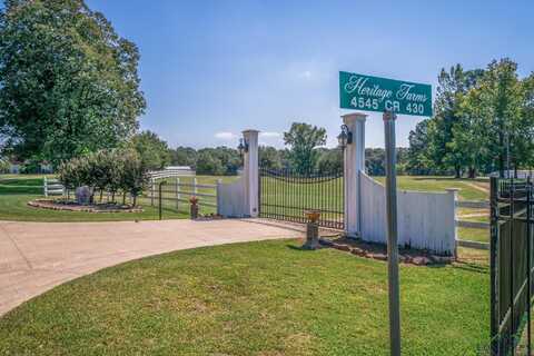 4545 County Road 430, Joaquin, TX 75954