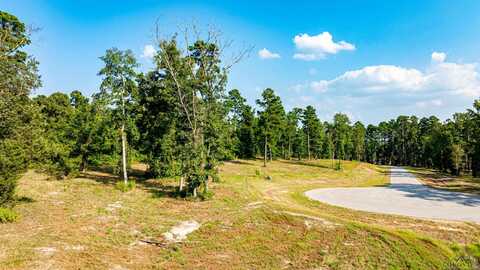 Tbd (lot 46) Marble Way, Hallsville, TX 75650