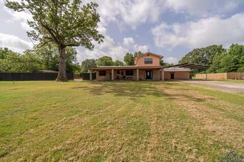 111 Cleerewoods Rd, Avinger, TX 75630