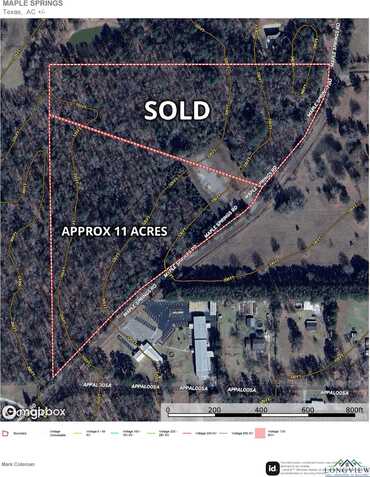 Lot 1 MAPLE SPRINGS RD, Hallsville, TX 75650