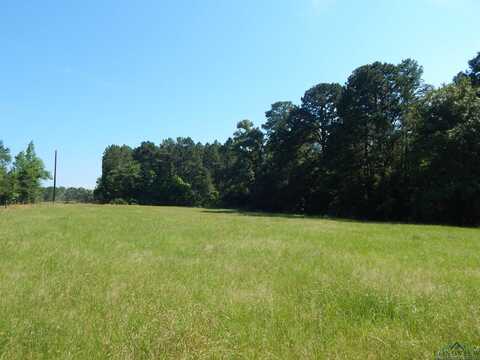 Tbd CR 3190, Winnsboro, TX 75494