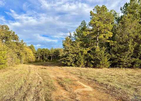 Tbd S FM 161, Hughes Springs, TX 75656