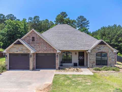 366 Emma Dr, Diana, TX 75640