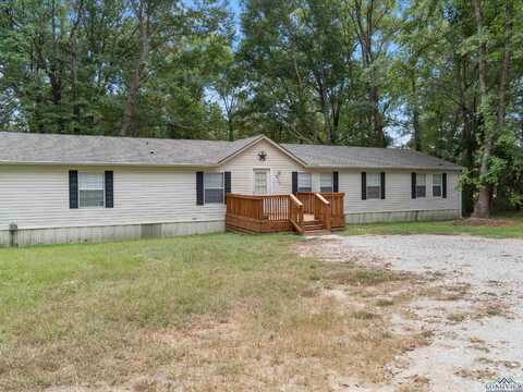 8956 Brant Road, Diana, TX 75640