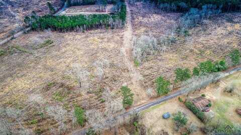 Lot 1 DAVIDSON RD, Longview, TX 75601