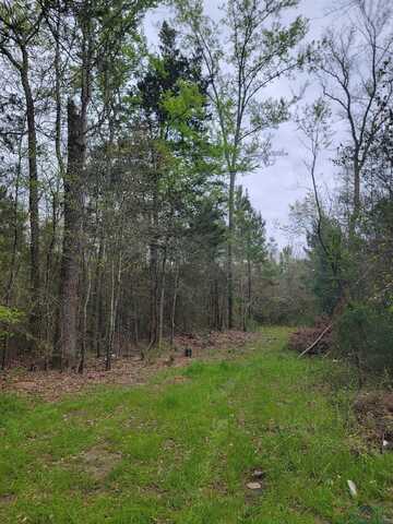 Tbd Woodchuck Rd - 18.5 Acres, Leesburg, TX 75451