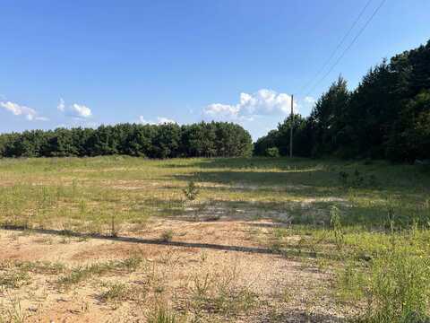 Lot 11 Jacklyn Ln., Diana, TX 75640