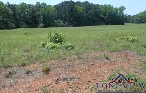 Lot 4 5.287 CR 217, Henderson, TX 75652