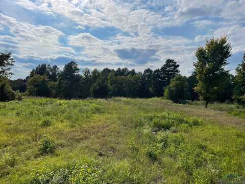 Tbd 2.8 Ac North Point Pleasant Rd, Gladewater, TX 75647