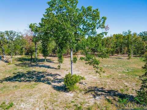 Tbd Angus (lot 6), Big Sandy, TX 75755