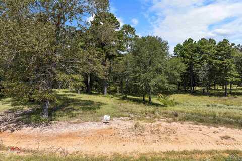 Tbd PR 3398 Lot 31, Big Sandy, TX 75755