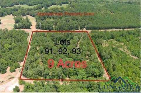 Lot 91,92,93 Frances Lane, Diana, TX 75640