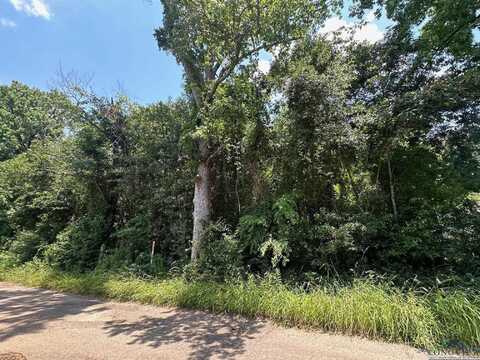 Tbd Cherokee Trace, Gilmer, TX 75644