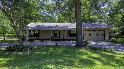 523 Big Lake Rd, Karnack, TX 75661