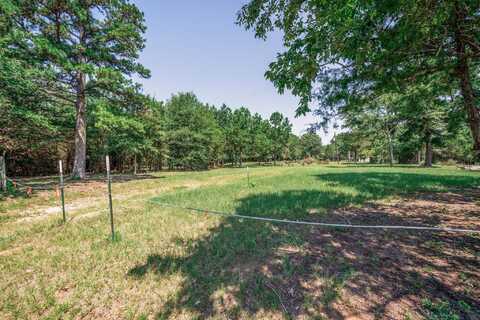 516 Bluewood Rd, Big Sandy, TX 75755