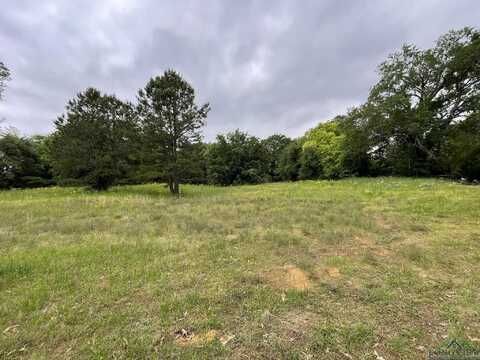 Tbd N RODEO DR, Gladewater, TX 75647