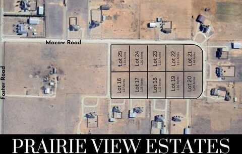 0 Macaw Road, Ropesville, TX 79358