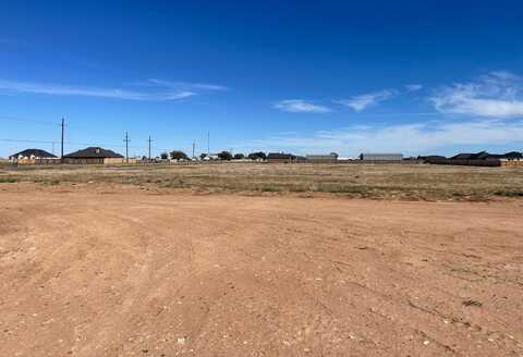 2010 County Road 7820, Lubbock, TX 79423