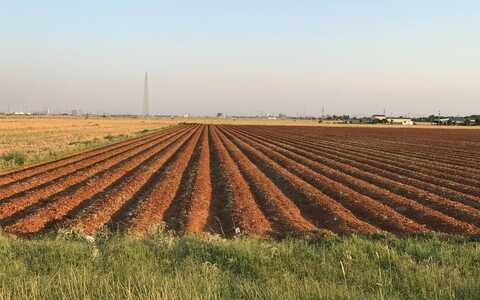 FM 2641, Lubbock, TX 79415