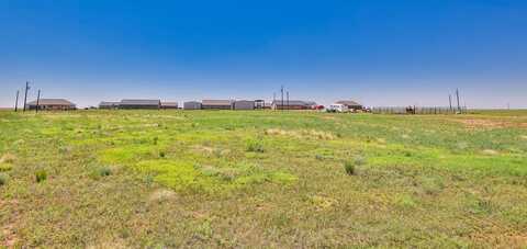 1395 Widgeon Road, New Home, TX 79381