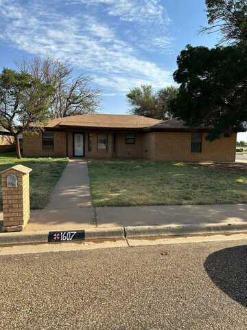 1607 Brandee Lane, Brownfield, TX 79316