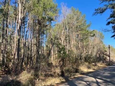 81554 Pickard Road, Zavalla, TX 75980