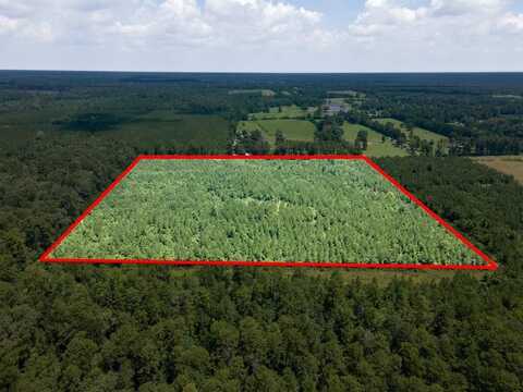 1455 Neal Road, Huntington, TX 75949