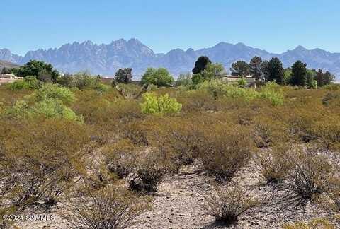 Tbd Ocotillo Road, Las Cruces, NM 88011