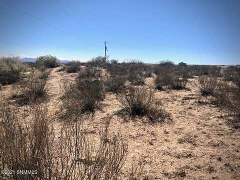 Tract 2 Koogle, Anthony, NM 88021