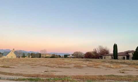 1985 Tapestry Circle, Las Cruces, NM 88005