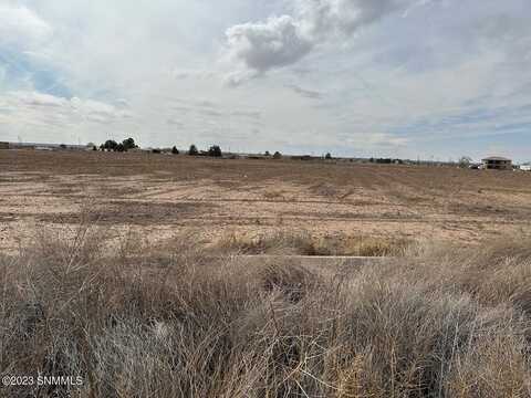 3480 Opitz Road, Anthony, NM 88021