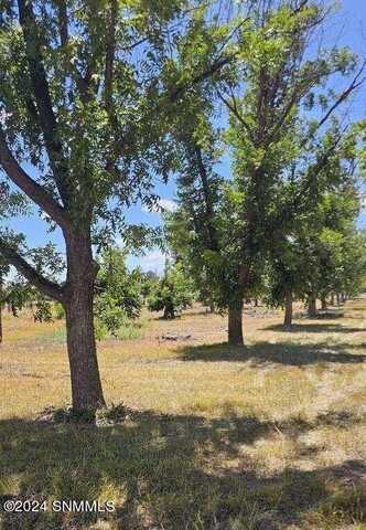 Tbd Valdes Road, Las Cruces, NM 88005