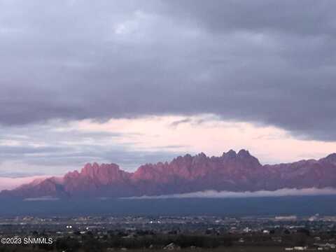 1518 Arco de Goya, Las Cruces, NM 88007